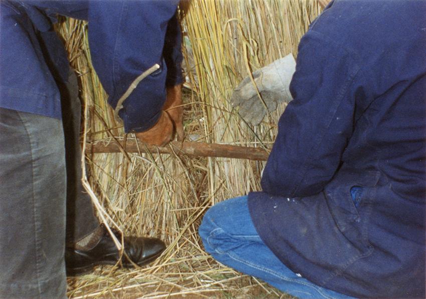 Forrado exterior (detalle) Forrado exterior (detalle)