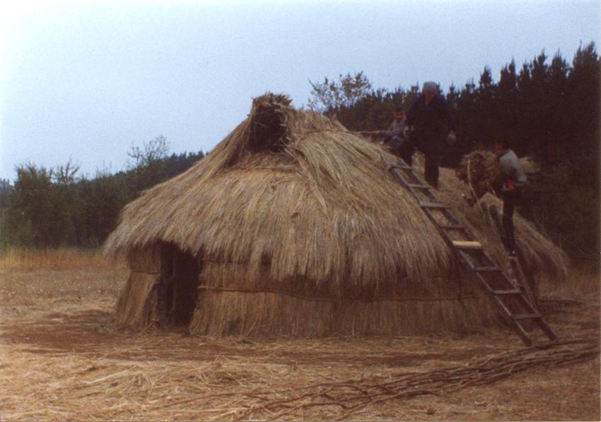 Forrado del techo Forrado del techo