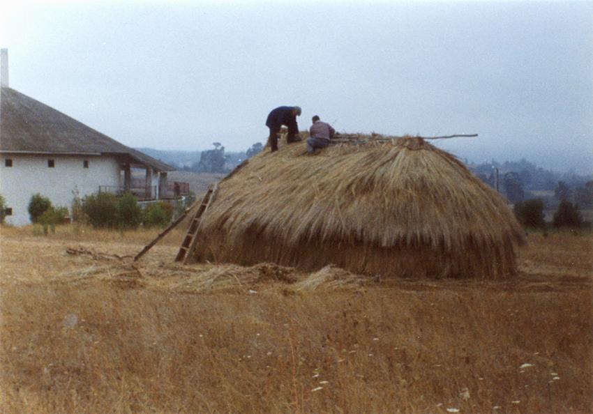 Forrado del techo Forrado del techo