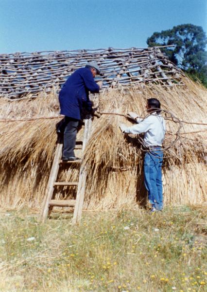 Forrado exterior Forrado exterior
