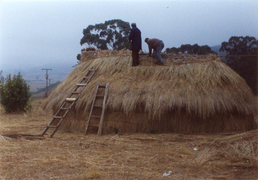 Forrado del techo Forrado del techo