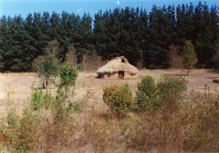 Ruka finalizada Ruka finalizada